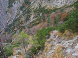2013-10-26_Schildenstein (211).JPG